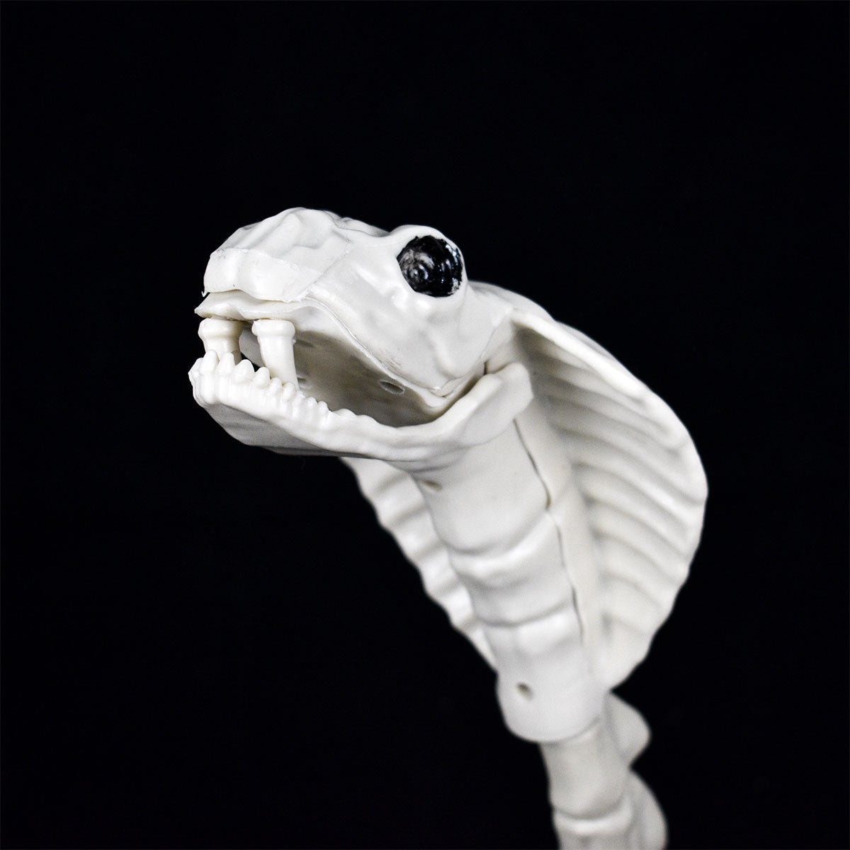 Esqueleto de Cobra para Halloween