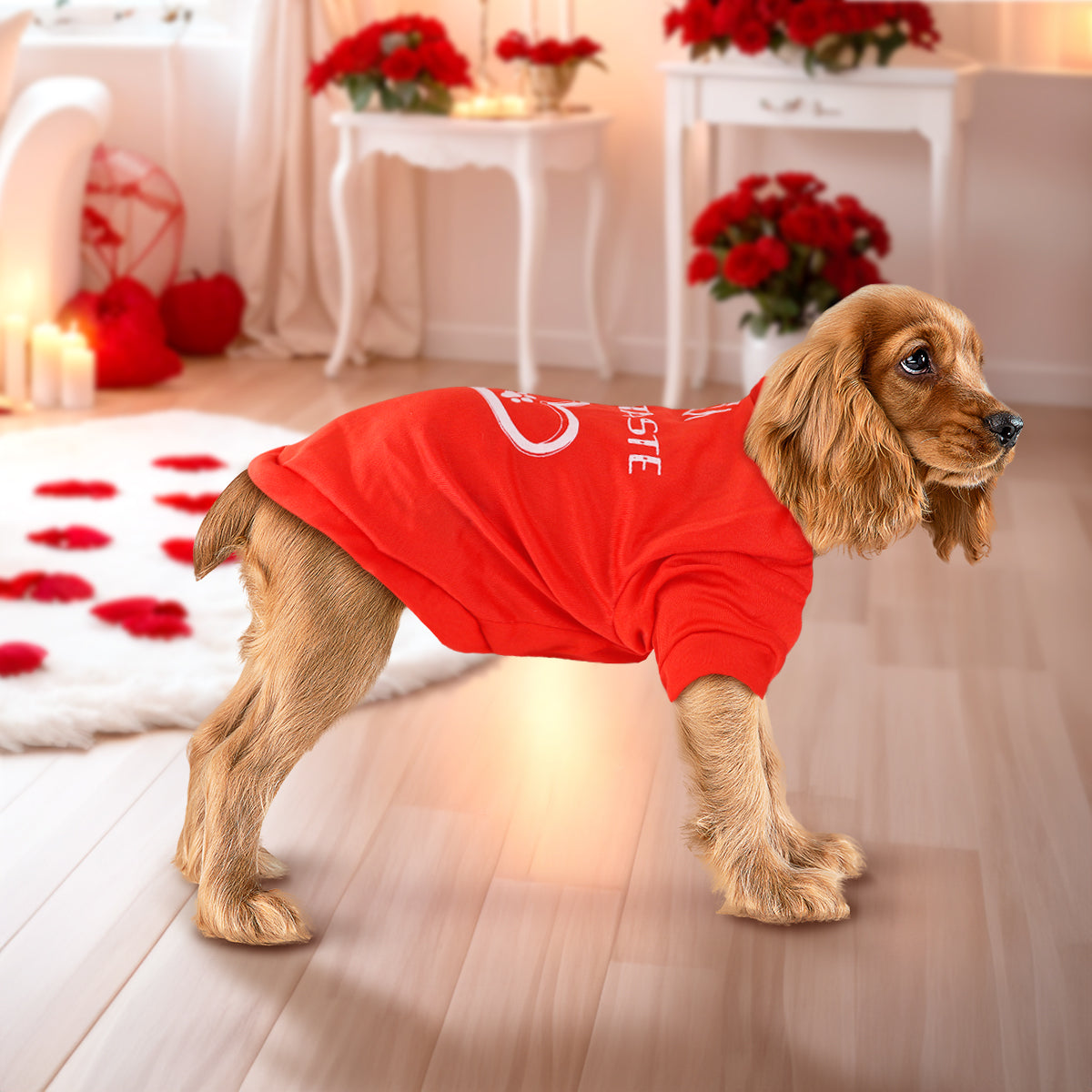 Playera para Mascota Mi Corazón, color Rojo
