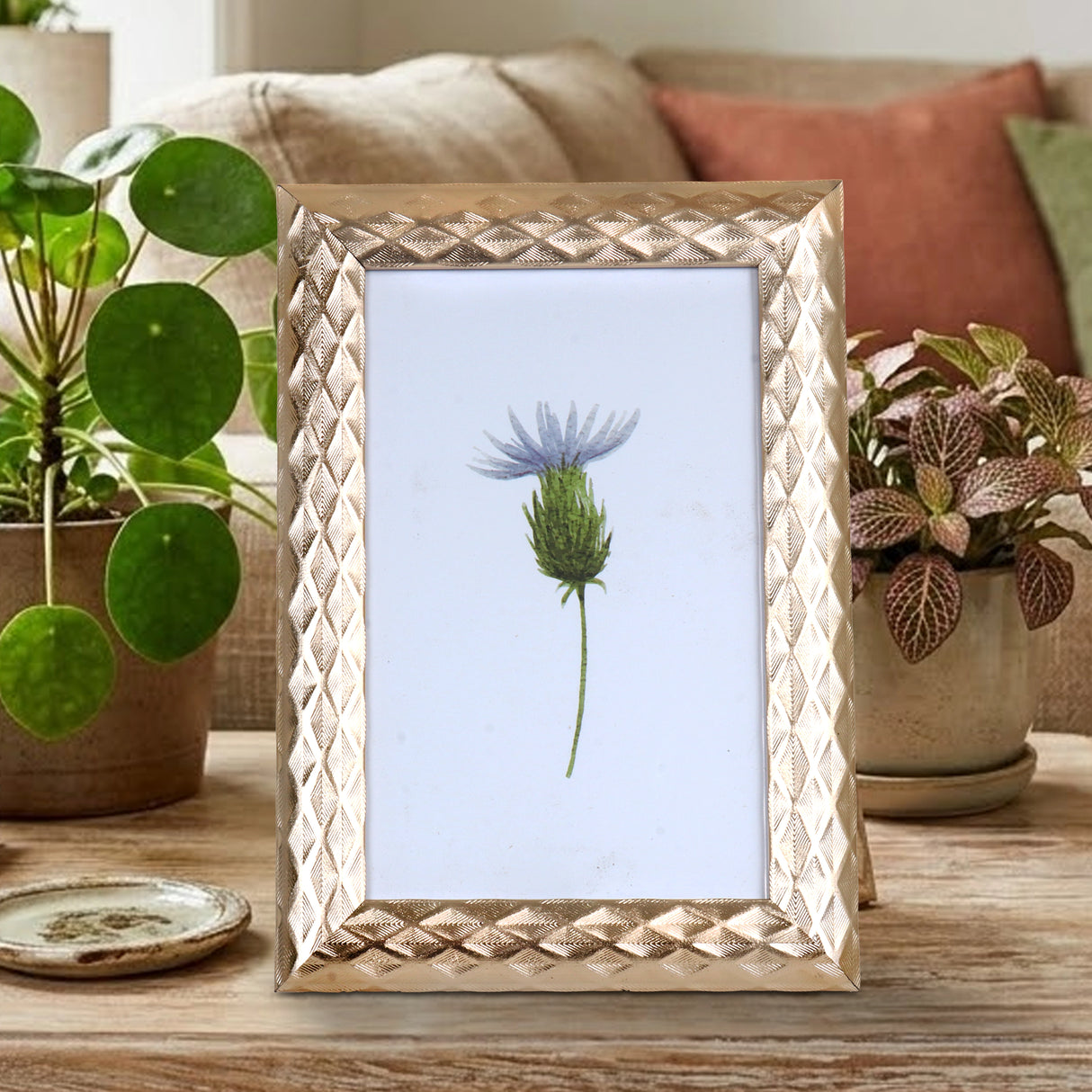 Portarretrato, Planta, Color Cobre