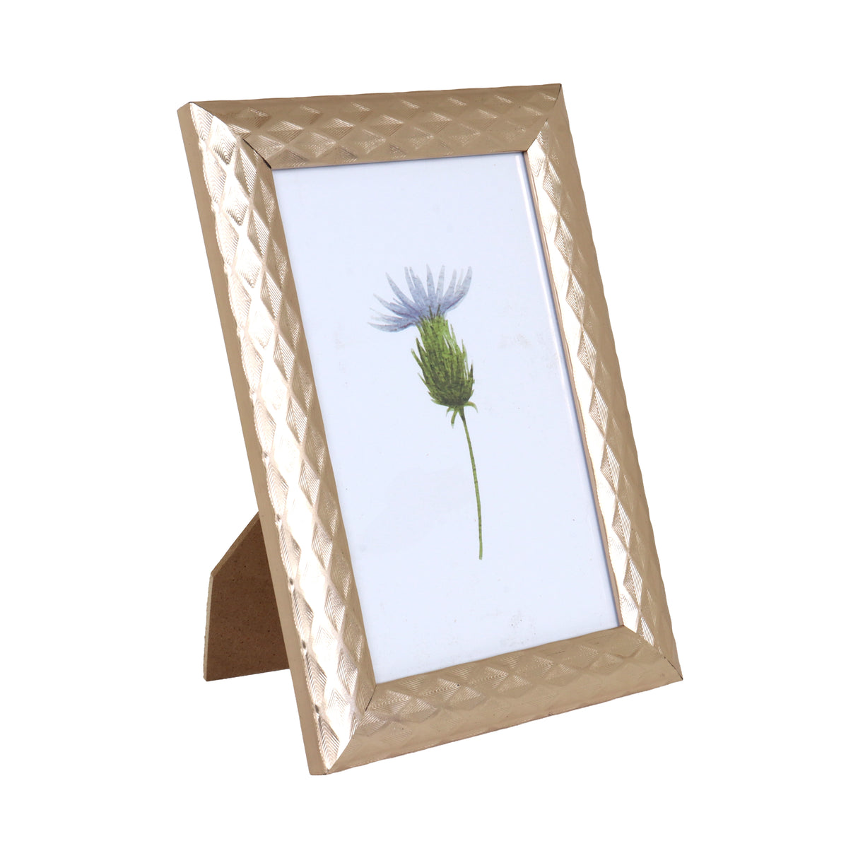 Portarretrato, Planta, Color Cobre