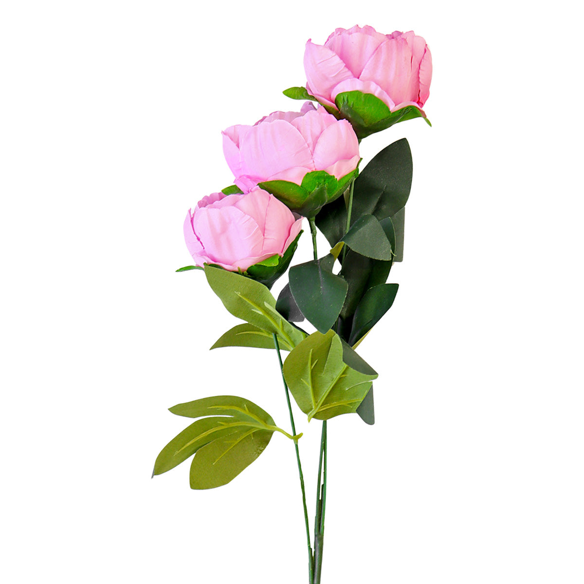 PeonÃas Artificiales, Color Rosa Oscuro