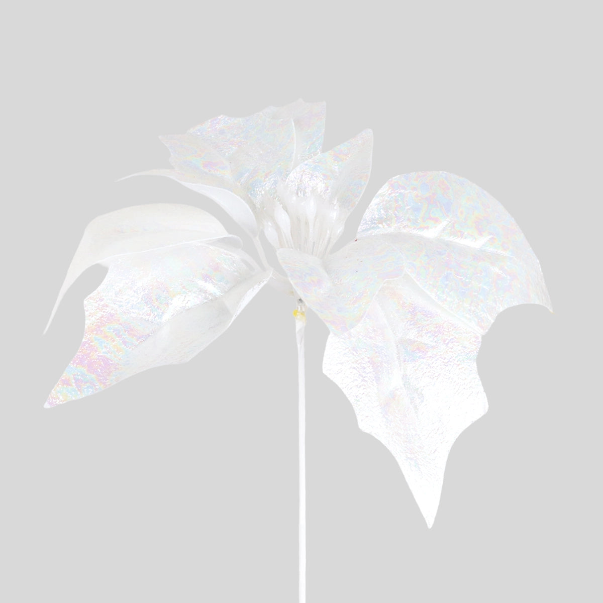 Nochebuena Decorativa, Color Blanca