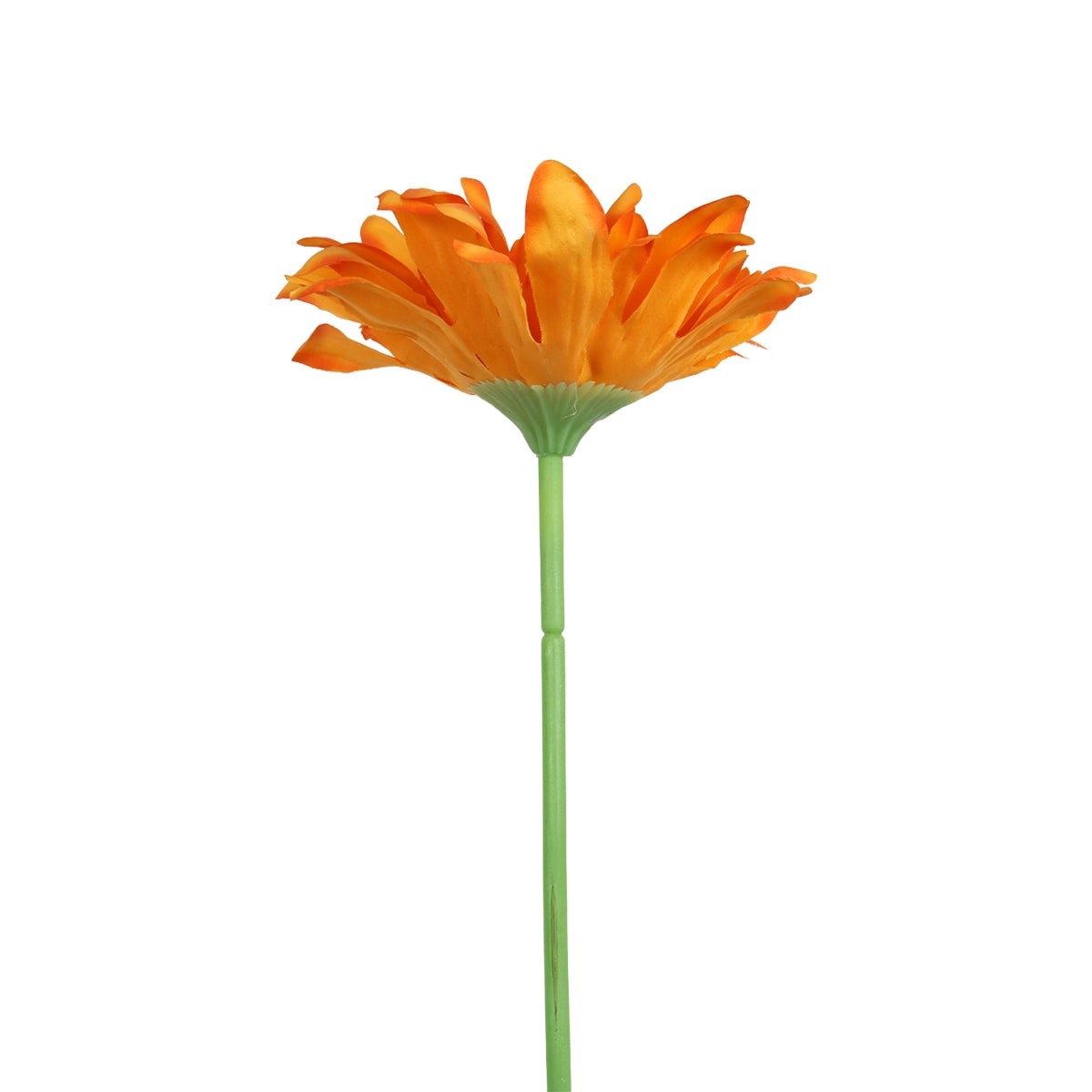 25 02AA GERBERA 1 FLORESNARA