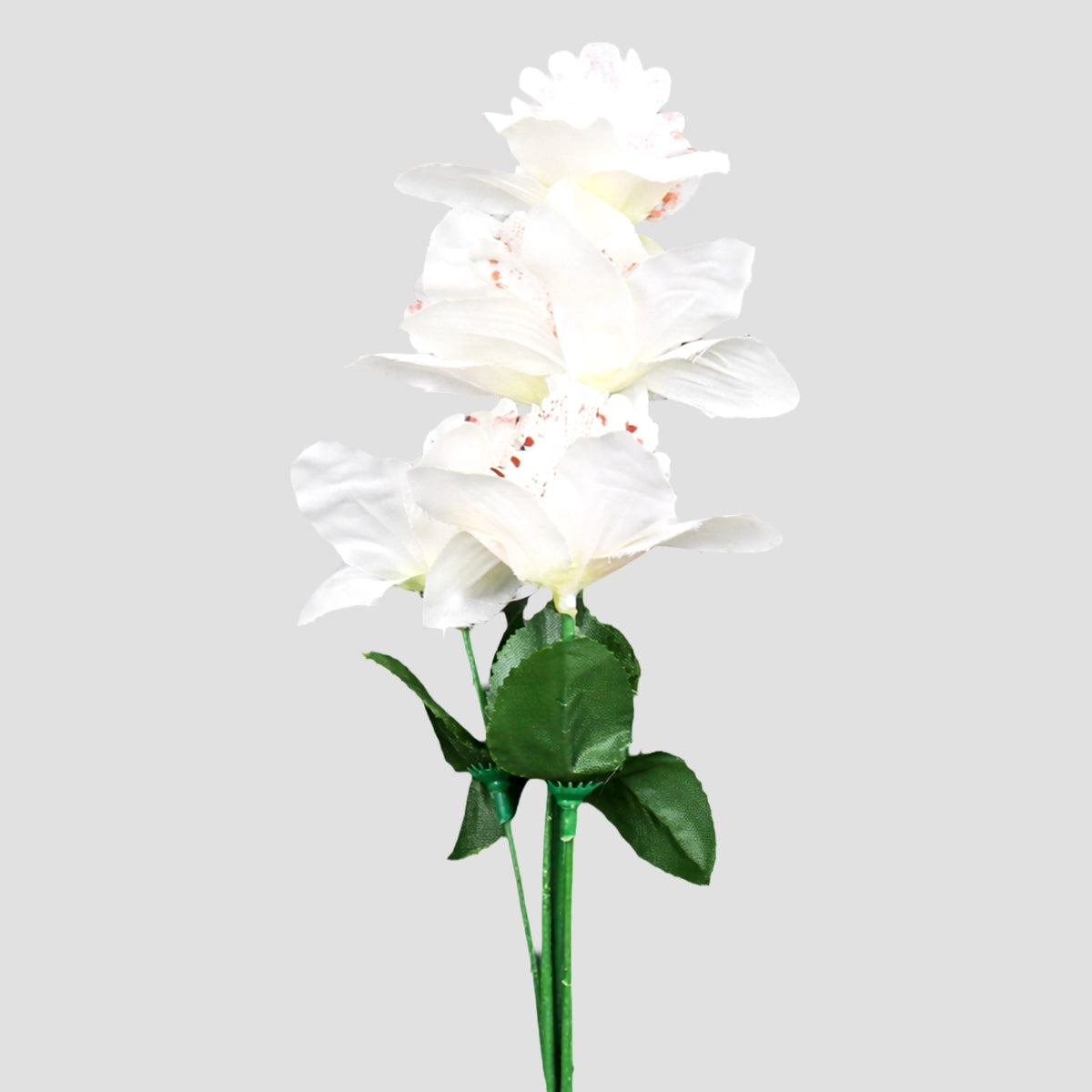 Ramo de Flores, Color Blanco