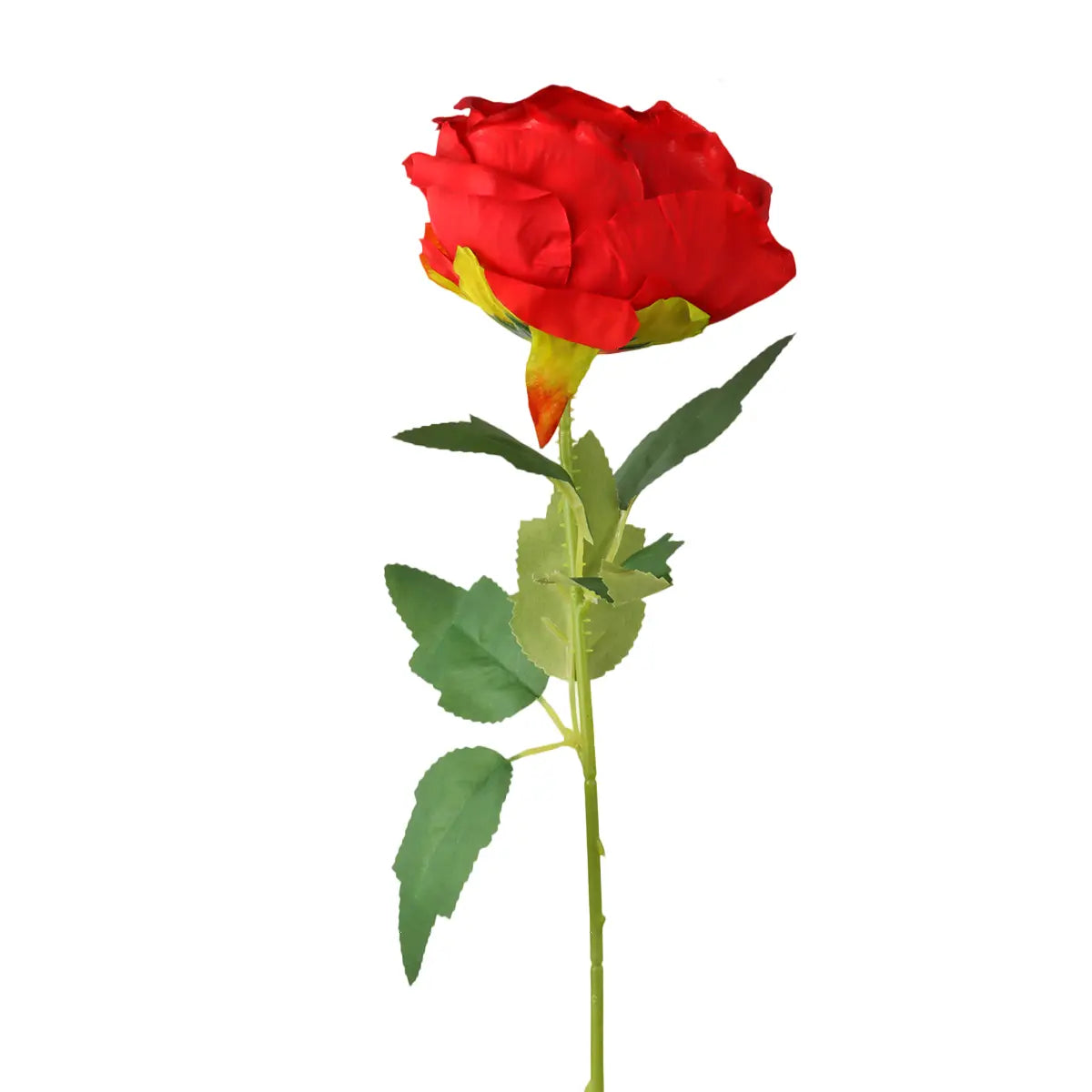 Rosa Artifical, Color Rojo