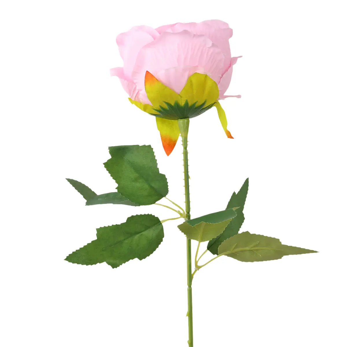 Rosa Artifical, Color Rosa Claro