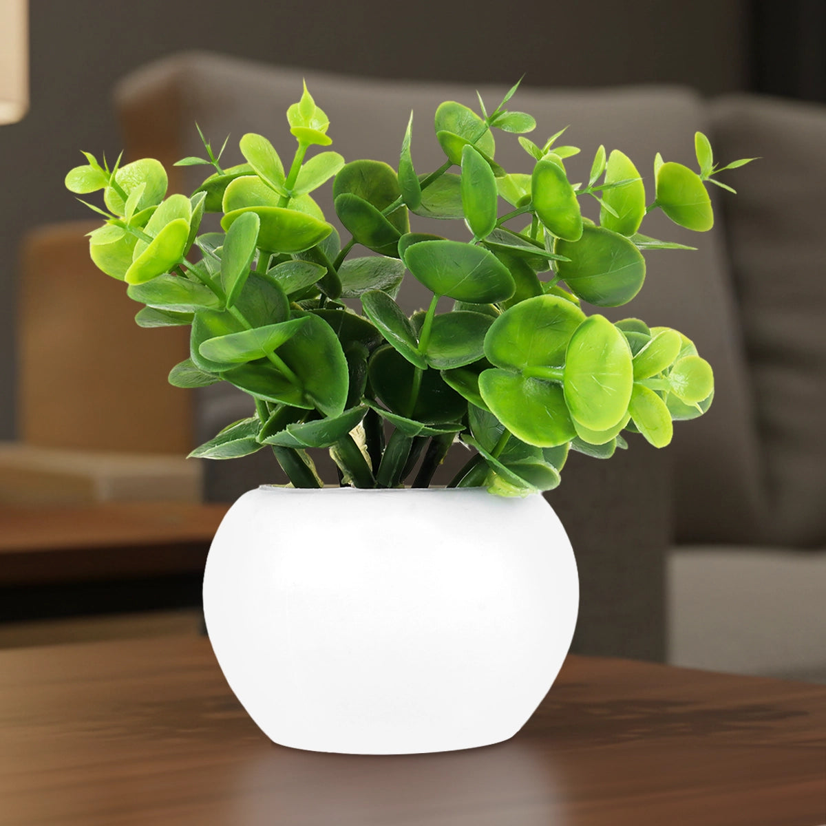 Maceta Mini Color Blanco con Planta de Plástico