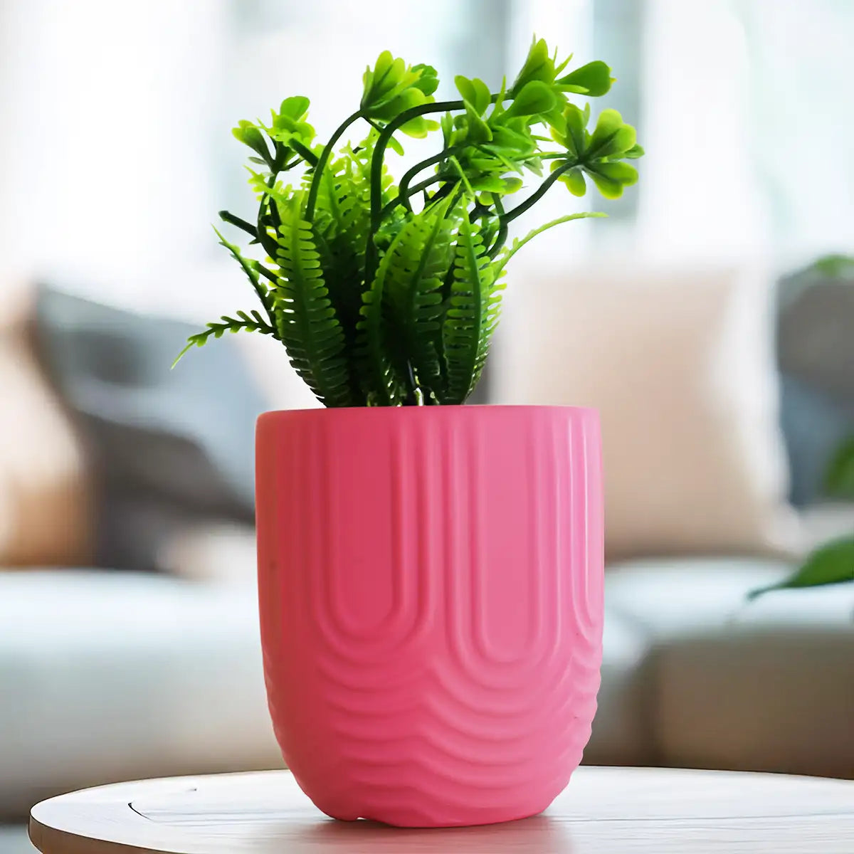 Planta con Maceta, Textura Arcoíris, Color Rosa