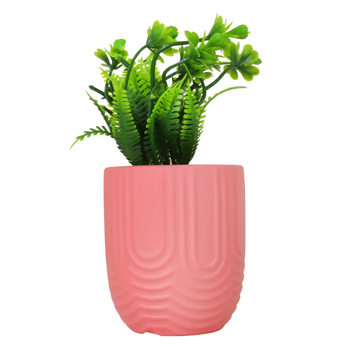 Planta con Maceta, Textura Arcoíris, Color Rosa