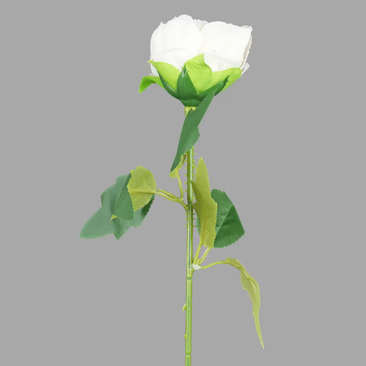Flor Individual, Color Blanco