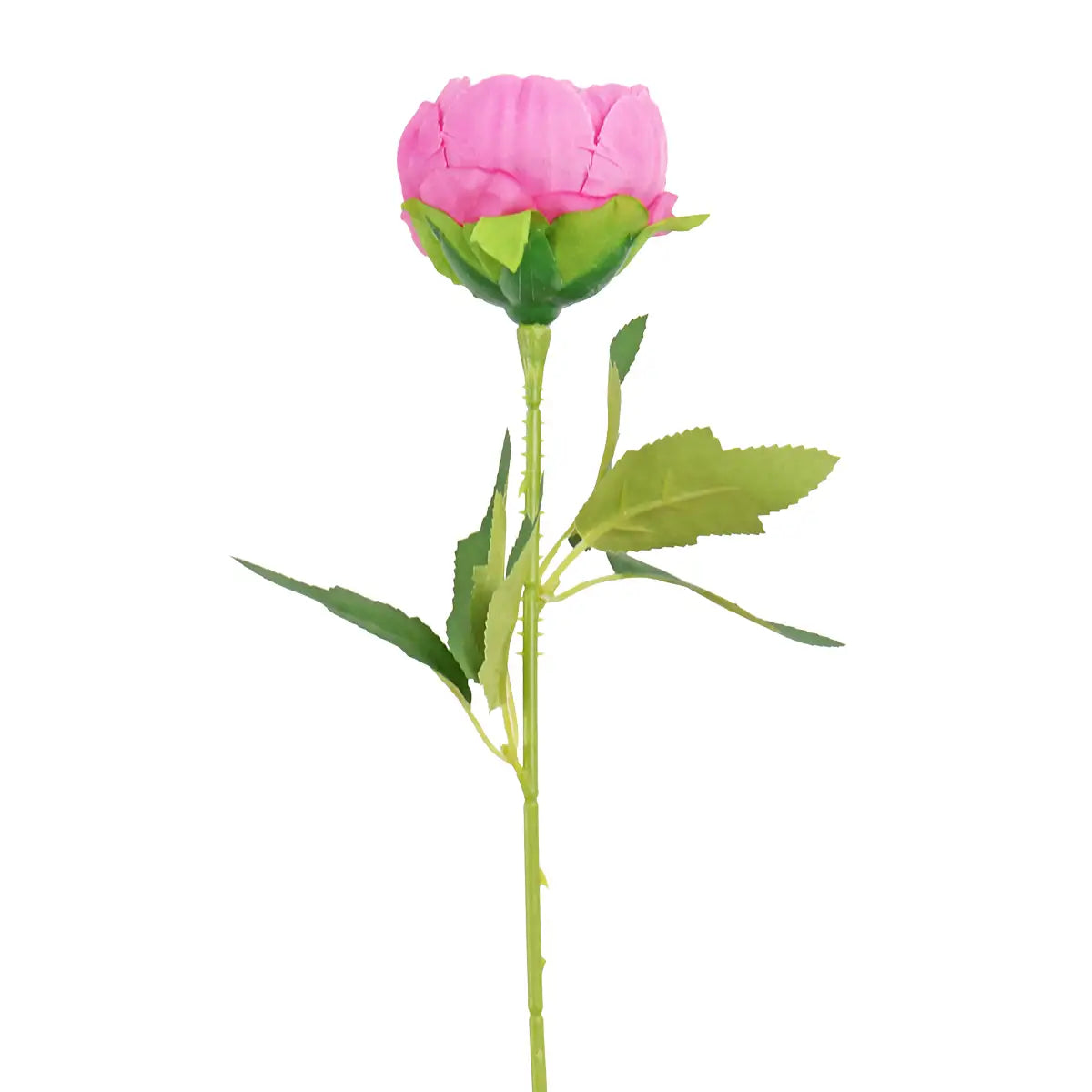 Flor Individual, Color Rosa