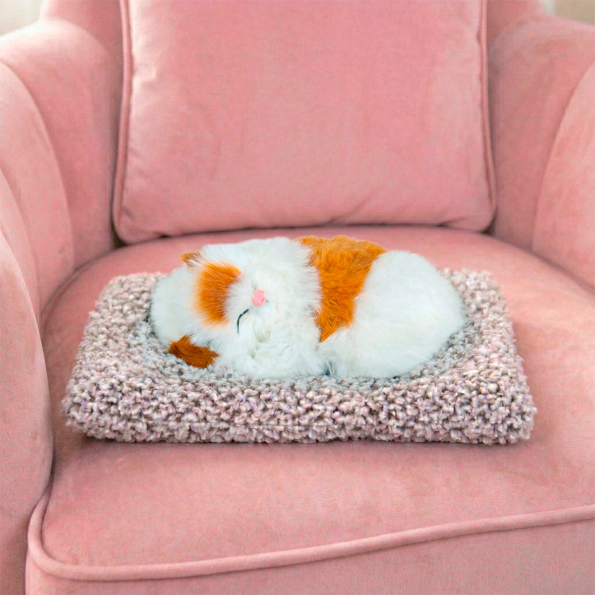 Gatito Dormido con Sonido, Color Blanco y Café