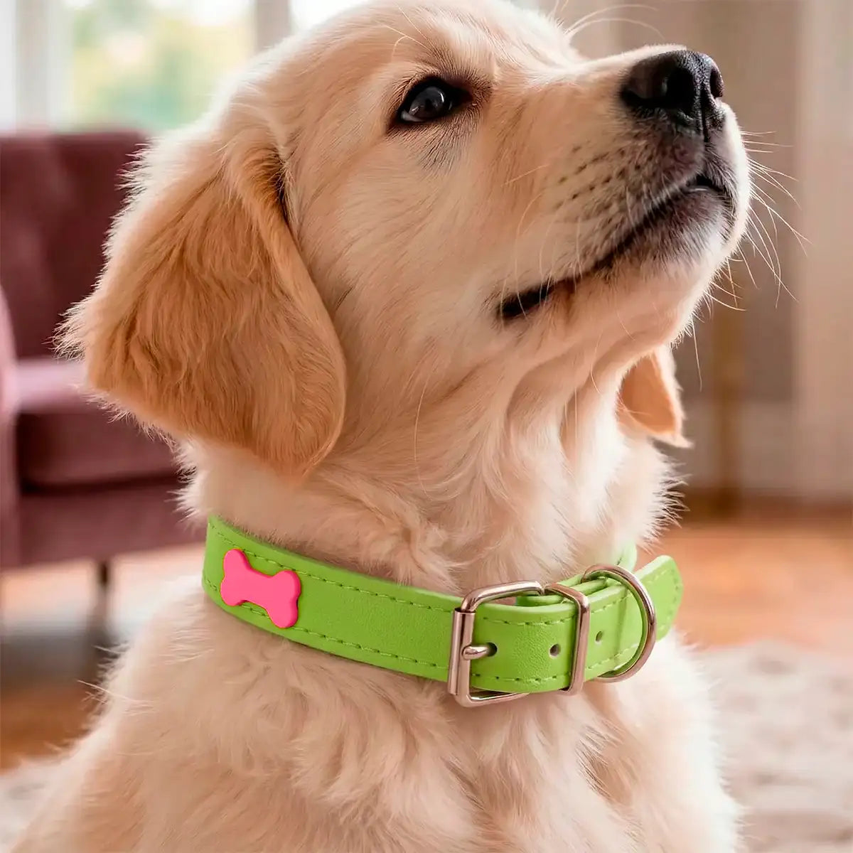 Collar para Mascota, Vinil, Color Verde y Rojo