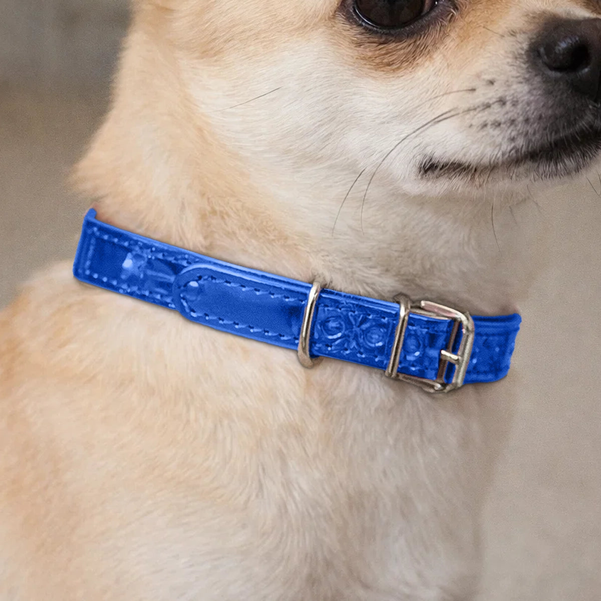 Collar para Mascota, Vinil, Color Azul Metálico