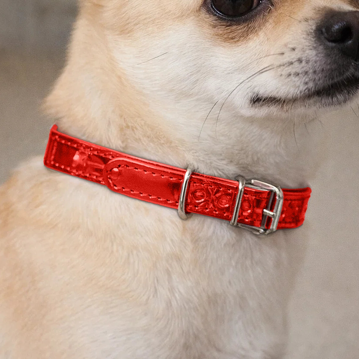 Collar para Mascota, Vinil, Color Rojo Metálico