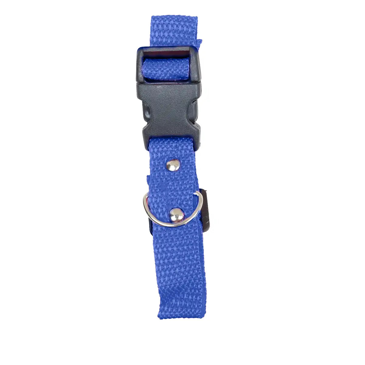Collar para Mascota, Color Azul Fuerte