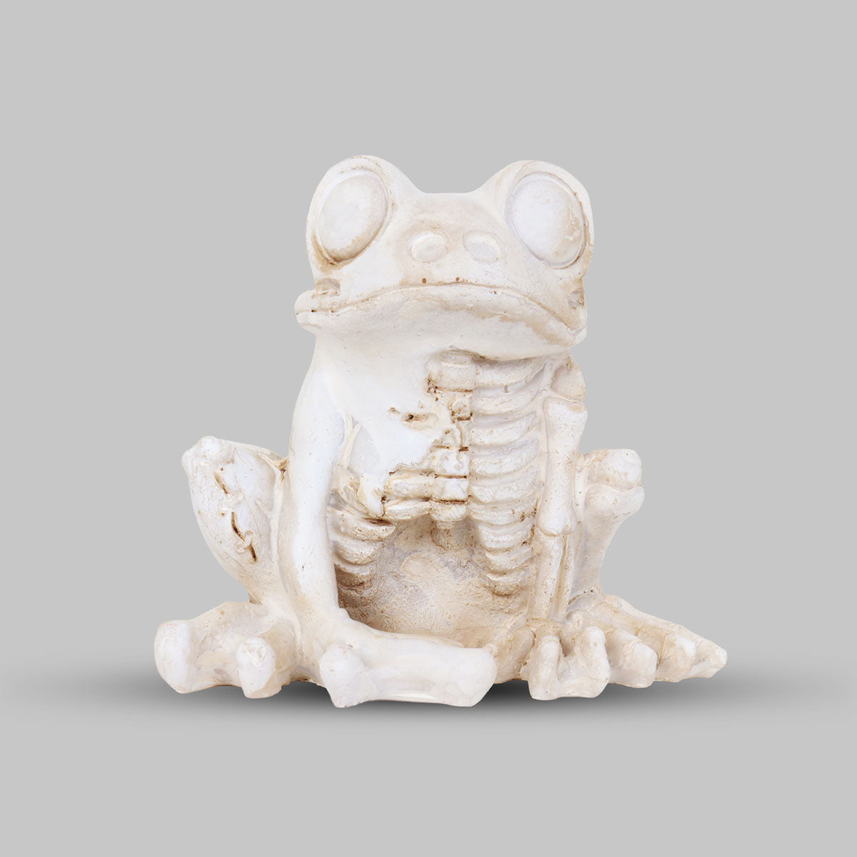 Figura de Cerámica, Esqueleto de Rana