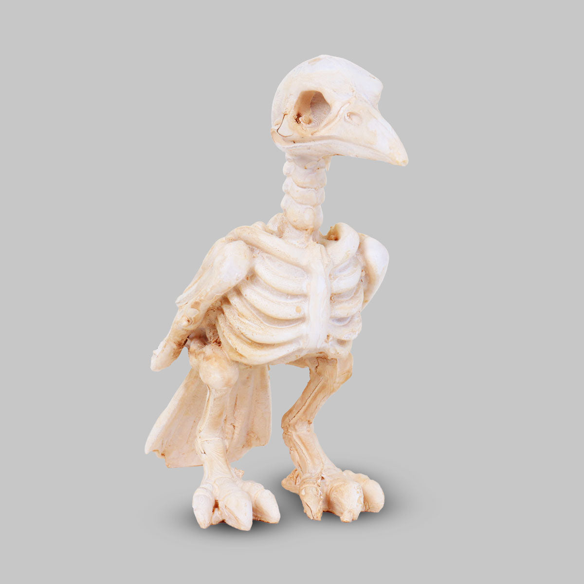 Figura de Cerámica, Esqueleto de Cuervo