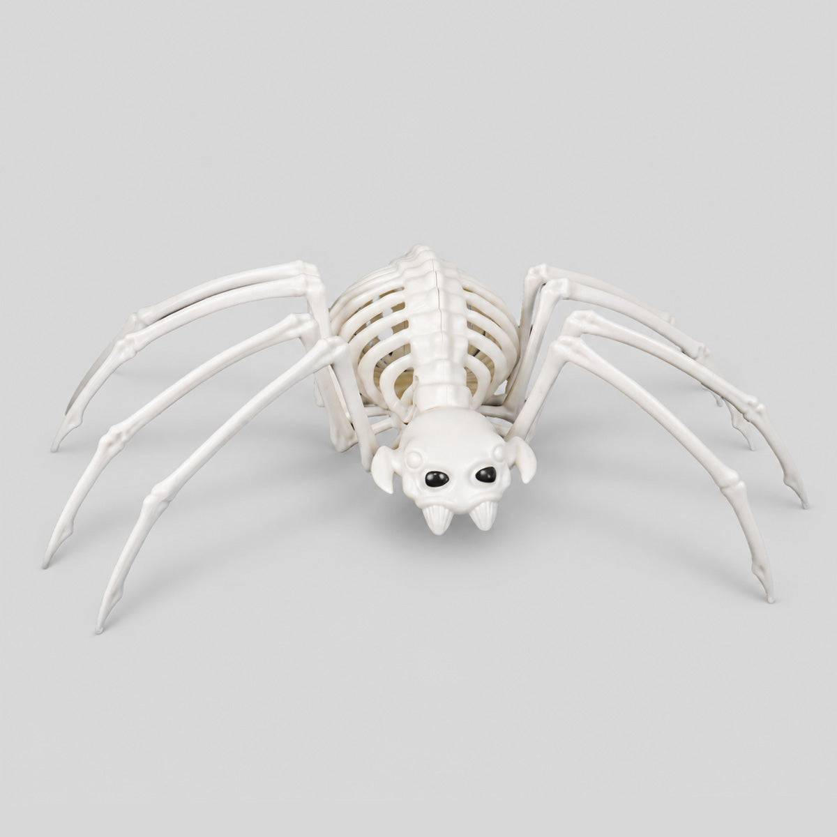 Araña Esqueleto para Halloween