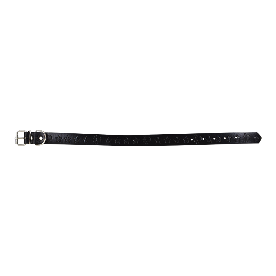 Collar para Mascota 2.5cm Color Negro