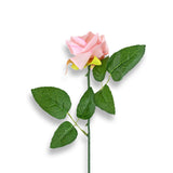 Rosa Artificial color Rosa