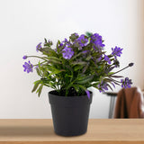 Planta Artificial con Flores color Morado en Maceta