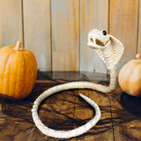 Esqueleto de Cobra para Halloween