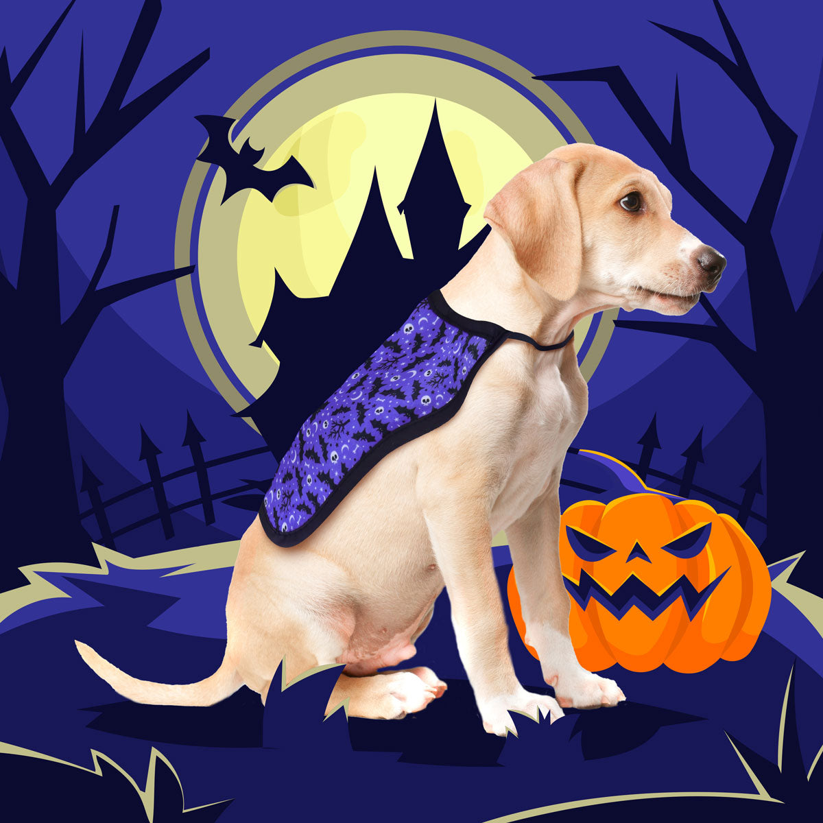 Capa para mascota color Azul con Diseño de Halloween