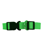 Collar Ajustable para Mascota