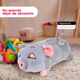 Kit de Peluche, Puerquito Color Gris ¡Llévate 3 y paga 2!