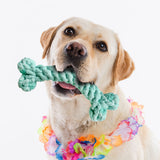 Juguete para Mascota en Forma de Hueso