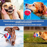 Juguete Dispensador para Mascota