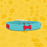 Collar Sintético color Aqua para Mascota