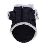 Chaleco color Negro con Gris para Perro
