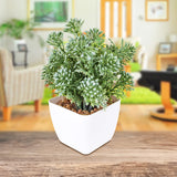 Maceta Decorativa con Suculenta Artificial, color Verde