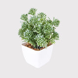 Maceta Decorativa con Suculenta Artificial, color Verde