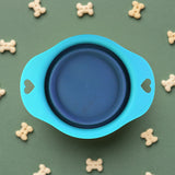 Plato Plegable color Azul Aqua para Mascota