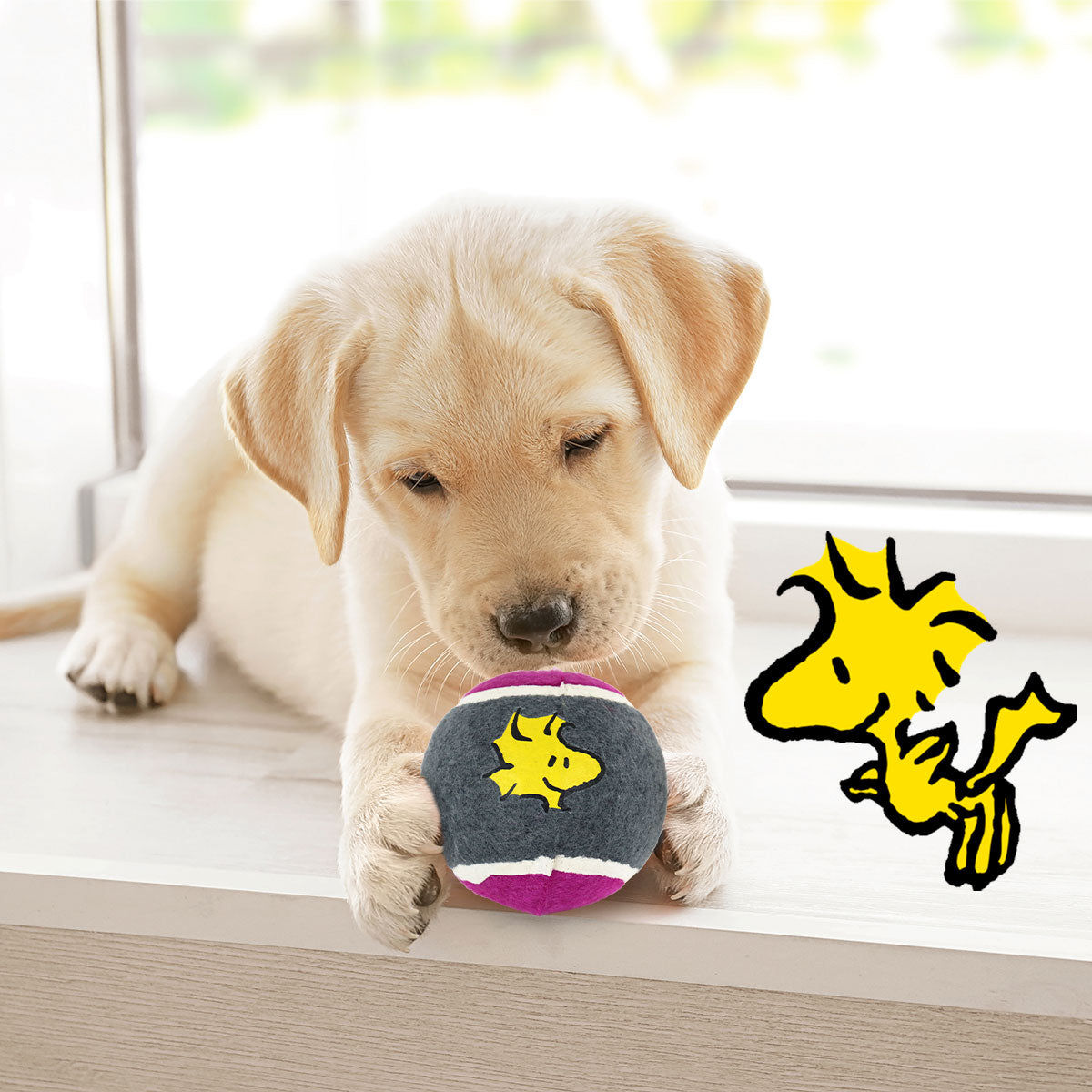 Pelota de Tenis con Diseño de Peanuts para Perro, color Gris