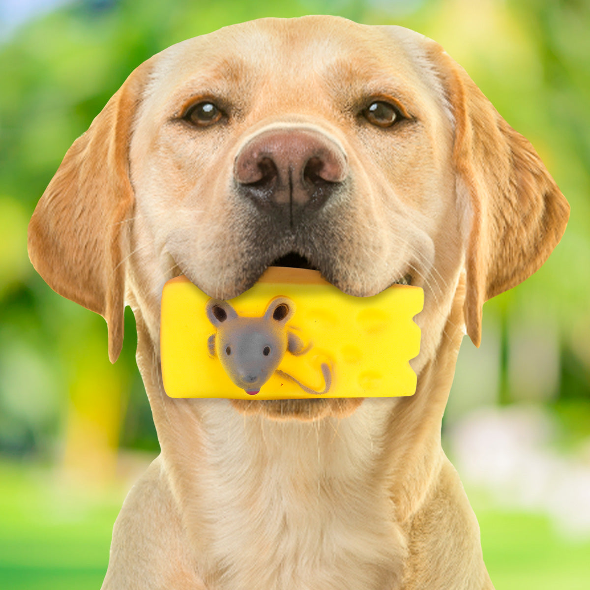 Juguete con DiseÃ±o de Queso para Mascota