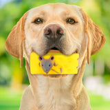 Juguete con DiseÃ±o de Queso para Mascota