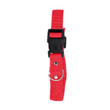 Collar Color Rojo para Mascota