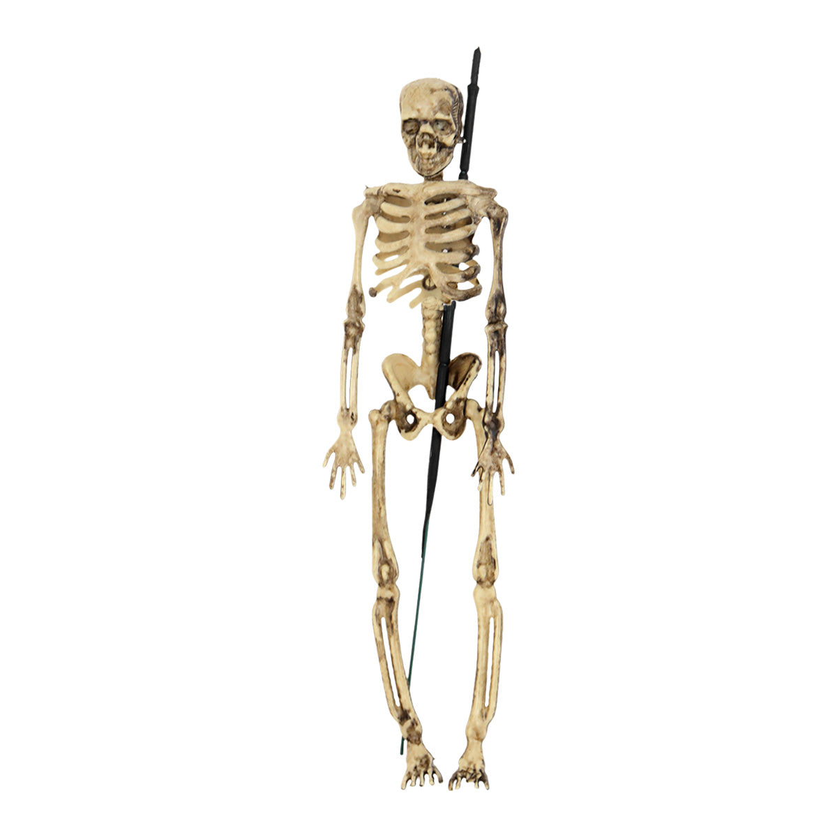 Esqueleto, Estaca Decorativa, Halloween