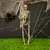 Esqueleto, Estaca Decorativa, Halloween