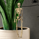 Esqueleto, Estaca Decorativa, Halloween