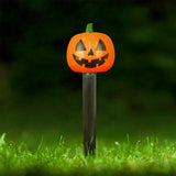 Calabaza, Estaca Solar