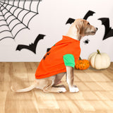 Disfraz con Diseño de Calabaza para Mascota, Talla G