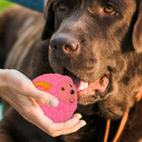 Juguete en Forma de Borrego color Rosa para Mascota