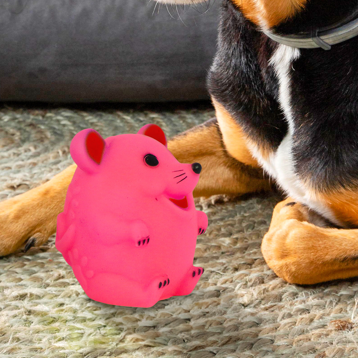 Juguete en Forma de RatÃ³n color Rosa para Mascota