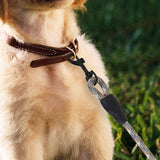Correa Premium color Café para Perro