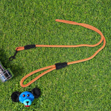 Correa Premium color Naranja para Perro